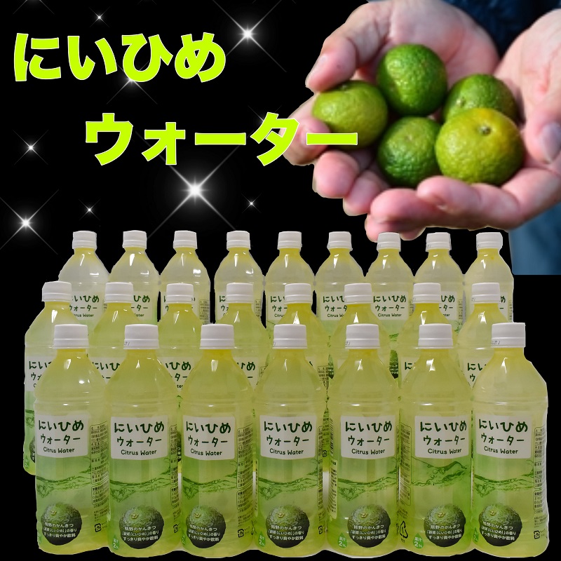 乾いたカラダを潤す♪ にいひめウォーター ５１０ml × ２４本 入