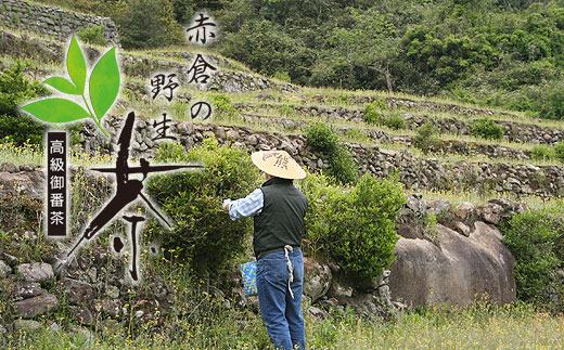 赤倉の野生茶【mnak0003】