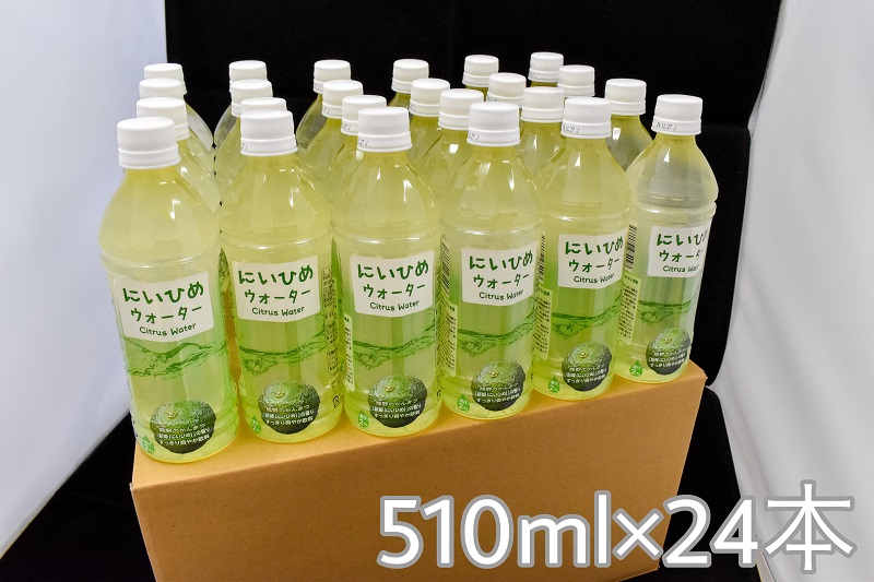 乾いたカラダを潤す♪ にいひめウォーター ５１０ml × ２４本 入