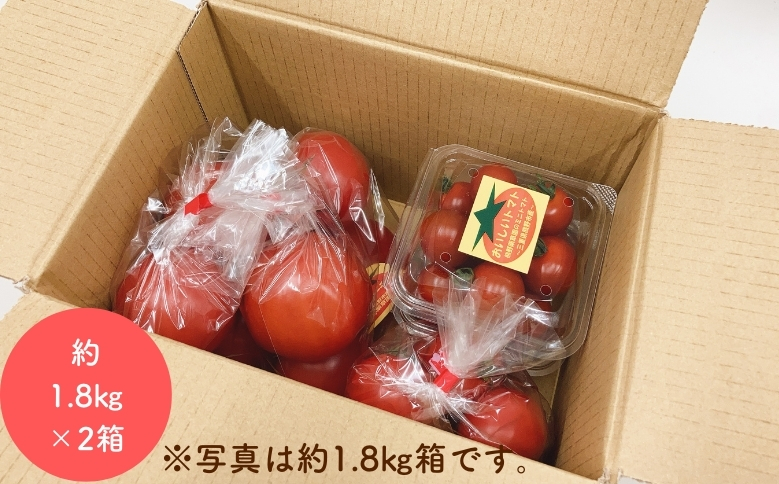 【先行受付 2024年12月以降配送】 熊野薬草園のトマトMIX（1.8kg×2箱） トマト ミックス お楽しみ 熊野 予約受付