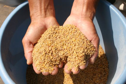 【小分けで便利！】 熊野地鶏 肝セット 1㎏以上 (230g前後×5P) 肉 鶏肉 鳥肉 とり肉 地鶏 肝 鳥肝 レバー 焼き鳥 焼鳥 炭火焼鳥 炭火焼き 串焼き 惣菜 おかず おつまみ 晩酌 小分けパック 国産 名古屋コーチン 伊勢赤どり 三重県 熊野市 【frsn0027】