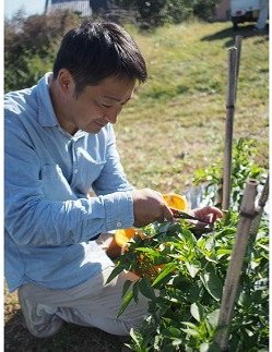 【テレビで紹介されました】 熊野唐辛子ギフト１０(一味唐辛子プリッキーヌ×2本とドレッシング) 希少 国産唐辛子