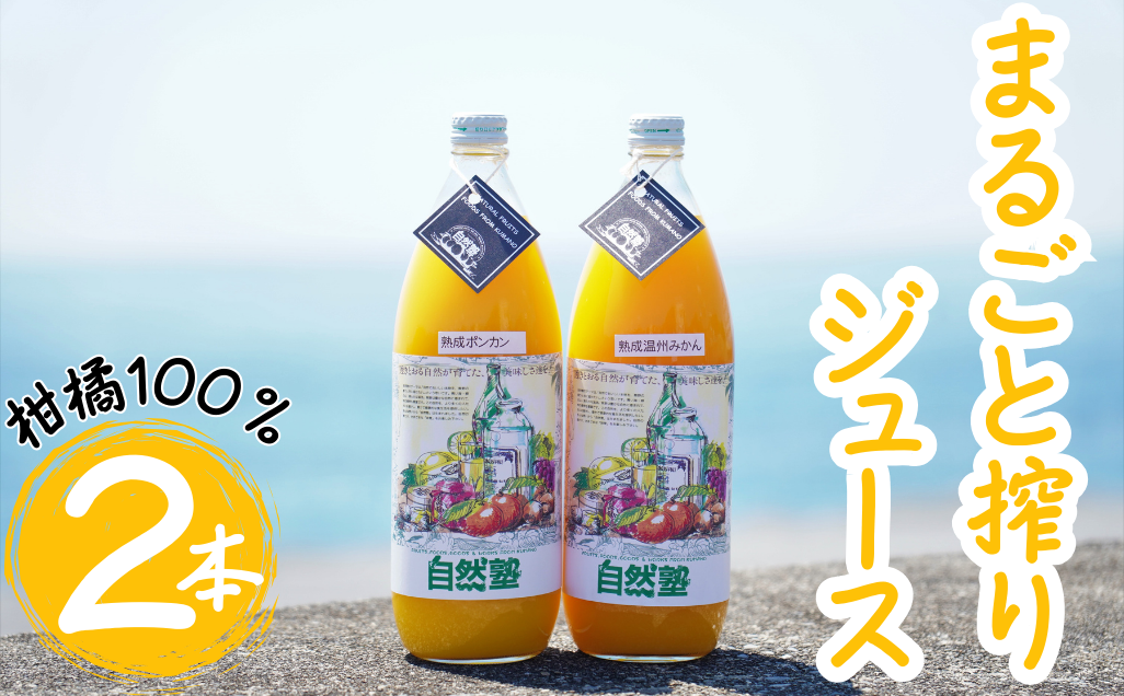 13.自然塾　柑橘100%まるごと絞りジュース　２本入り　みかんジュース オレンジ ポンカン 不知火 温州 ドリンク 飲料 飲み物 朝食 無添加 季節 旬