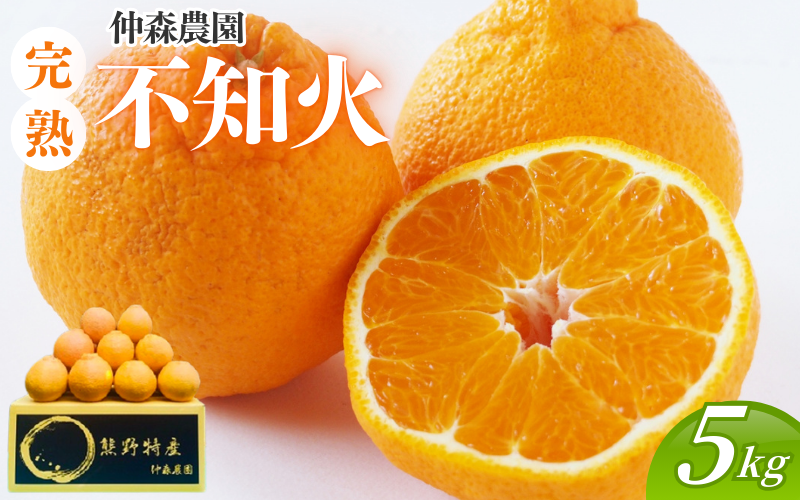 【数量限定】仲森農園の完熟不知火 5kg 【2026年2月～4月頃で順次発送】 みかん ミカン 蜜柑 柑橘 しらぬい 不知火 フルーツ 果物 くだもの 旬 甘い 産地直送 期間限定 三重県 熊野市 【nkmr0003】