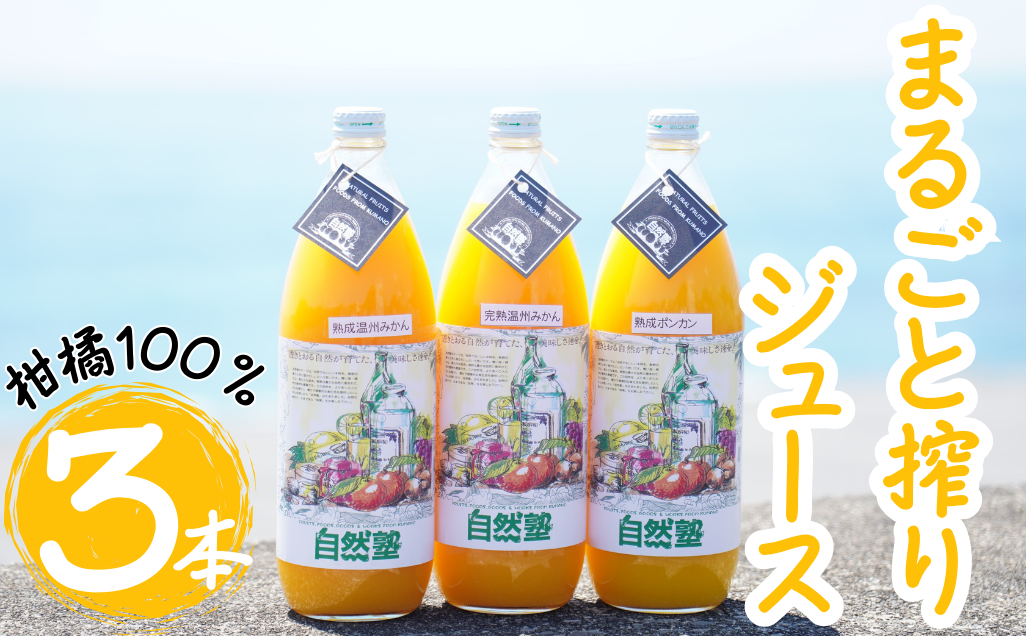 14.自然塾　柑橘100%まるごと絞りジュース　３本入り　みかんジュース オレンジ ポンカン 不知火 温州 ドリンク 飲料 飲み物 朝食 無添加 季節 旬