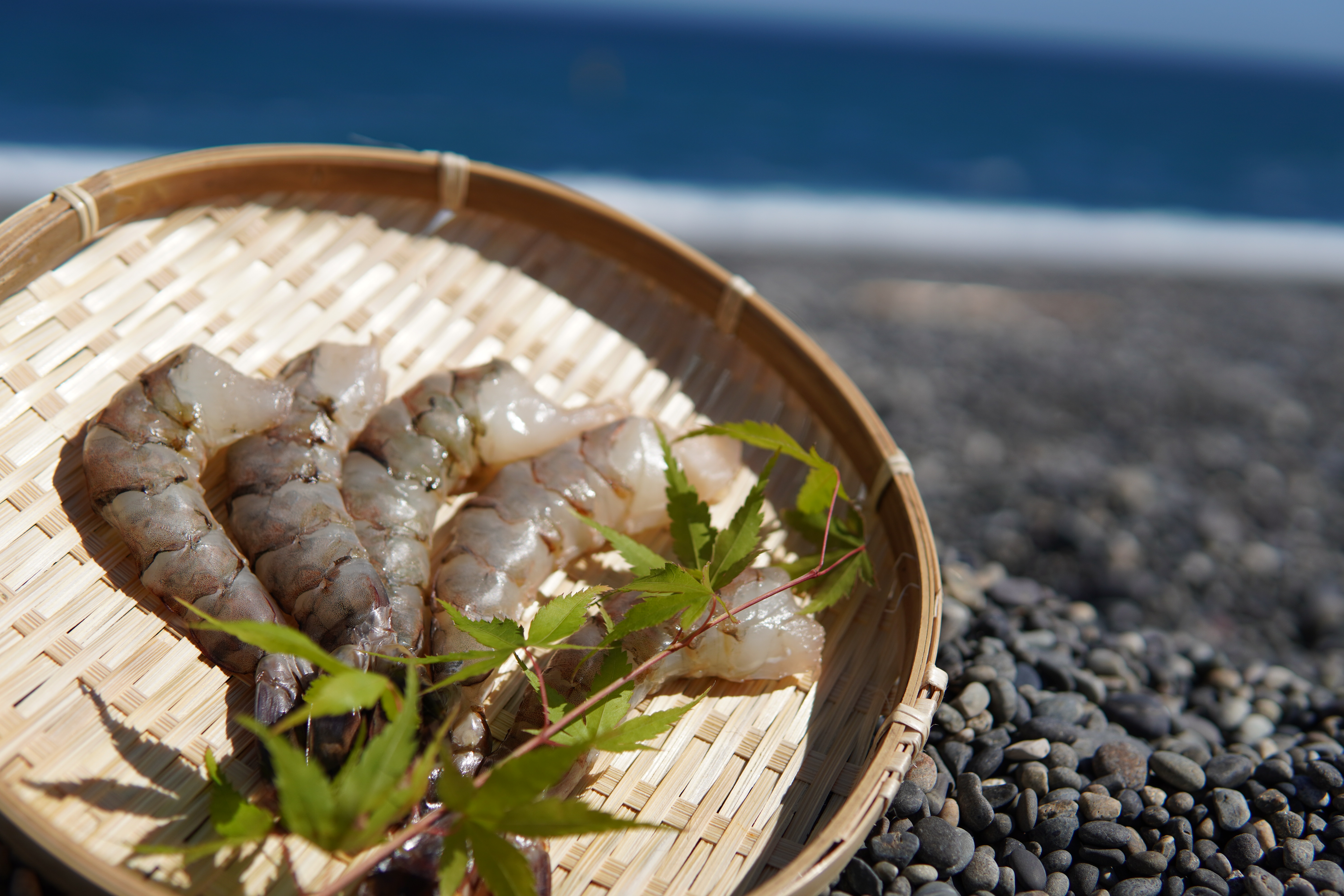 海洋深層水で美味しく減塩　減塩干物　えび丸干し ひもの エビ 海老 