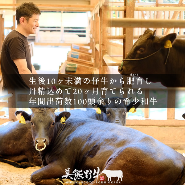 【美熊野牛】カレー 黒毛和牛 希少和牛