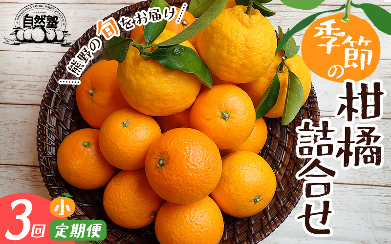【定期便】自然塾 季節の柑橘詰合せ 小 3回定期便 みかん ミカン 温州みかん フルーツ 果物 くだもの 柑橘 不知火 せとか 果物定期便 フルーツ定期便 果物セット フルーツセット 甘い 濃厚 産地直送 数量限定 人気 国産 三重県 熊野市 【szjk-tkb0005】