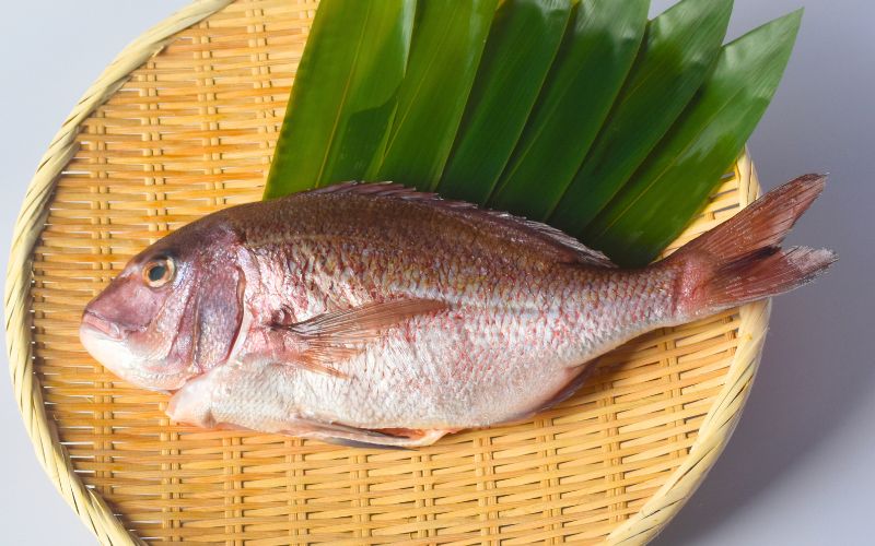 <ãã¬ãã§ç޹ä»ãããŸãã> é
鿥æå®å¯ æ°å§« çéé¯ äžåŠçæžã¿ äžå¹ ãå·åã é¯ ã¿ã€ åºèº« ãåºèº« ããã¿ ç空 æµ·é®® éä» é®®é 逿® å¯¿åž ãå¯¿åž å¡©éçŒã å¡©çŒã ããã¶ããã¶ é¯ããã¶ ãé£ãåã ãç¥ã ç¥ã æ°Žè°·æ°Žç£ äžéç çéåžãmzsi0001-2ã