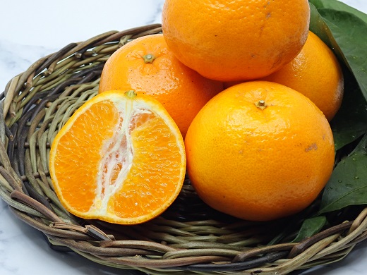 自然塾　季節の柑橘詰合せ【1回】