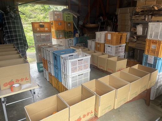 【2026年4月よりお届け！】先行予約【アタシカ果樹】 熊野新鹿産カラマンダリン(4.5kg) 柑橘 くだもの フルーツ みかん 熊野