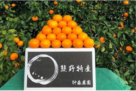 仲森蟲åã®å®ççéã¿ãã 5kgã11æäžæ¬ãã12æäžæ¬ã«çºéãã¿ãã ãã«ã³ èæ æž©å·ã¿ãã ææ© ãã«ãŒã æç© ç£å°çŽé äžéç çéåž çéãnkmr0010ã