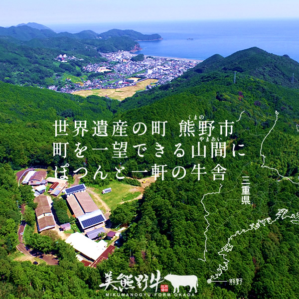 美熊野牛 6種の部位が楽しめる 食べ比べ 焼肉セット 500g ロース カルビ 赤身 牛肉 肉 ブランド牛 和牛 黒毛和牛 国産牛 焼肉 焼き肉 霜降り 赤身 人気 希少 万能 食べ比べセット おすすめ 三重県 熊野市【okad0008】 