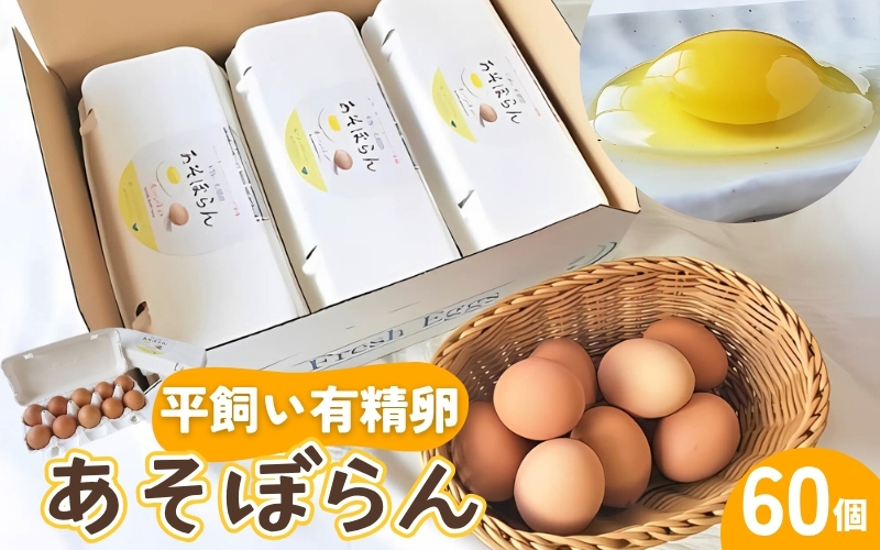 卵 平飼い有精卵 あそぼらん 60個 卵 たまご 玉子 タマゴ 卵焼き 玉子焼き 卵料理【asit0002A】