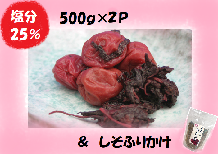梅干し 熊野乃梅 昔ながらの梅（塩分25％）500ｇ×2Pとしそふりかけ【snby0002B】