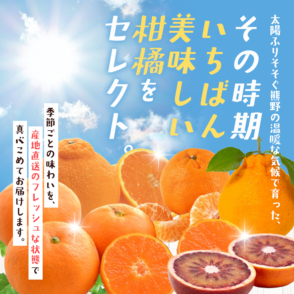 【定期便】自然塾 季節の柑橘詰合せ 5回定期便 みかん ミカン 温州みかん フルーツ 果物 くだもの 柑橘 不知火 せとか 果物定期便 フルーツ定期便 果物セット フルーツセット 甘い 濃厚 産地直送 数量限定 人気 国産 三重県 熊野市【szjk-tkb0004】