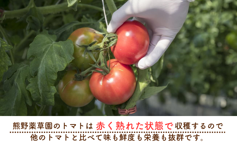 熊野薬草園の濃厚トマトジュース（2本）【kmys0017A】