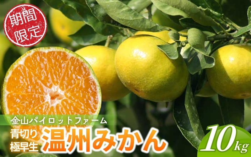 みかん 金山パイロットファームの 温州みかん 10㎏ 極早生(青切り) みかん ミカン 温州みかん 極早生 極早生みかん フルーツ 果物 くだもの 柑橘 産地直送 数量限定 人気 国産 三重県 熊野市【knpr0013】