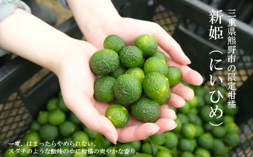 熊野香茶＆七味セット（ハーブティー3種、新姫七味、ハバネロ七味）【kmys0009A】