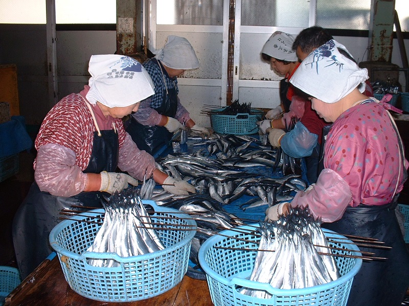 å¹²ç© ãããŸäžžå¹²ã 10æ¬ ãéäœååº3代ç®ã®äžžå¹²ã補æ³ã ã²ãã® ãµã³ã ç§åé å·å æµ·é®® éä»é¡ ç¹ç£å çŒãé é ããã ãã€ãŸã¿ äžéç çéåžãuosk0015Aã