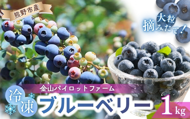 å·å ãã«ãŒããªãŒ 1kg æ¥éå·å ãã«ãŒã æç© ãã ãã® ã¹ã ãŒãžãŒ ãžã£ã æé£ ãã¶ãŒã ç¹ç£å äººæ° åœç£ æ¬ éå±±ãã€ããããã¡ãŒã äžéç çéåžãknpr0009ã