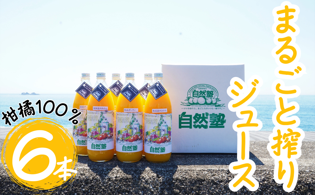 自然塾　柑橘100%まるごと絞りジュース　６本入り　みかんジュース オレンジ ポンカン 不知火 温州 ドリンク 飲料 飲み物 朝食 無添加 季節 旬【szjk0009】