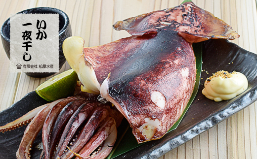 干物 詰め合わせ 8種 23点 食べ比べ 干物 ひもの あじ開き さんま開き かます開き さんまみりん干 さんま丸干 いか一夜干し 鮪みりん干 まんだいみりん干 松屋水産 三重県熊野市【mtys0003】