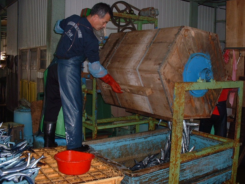 干物 さんま丸干し 20本 【魚作商店3代目の丸干し製法】 ひもの サンマ 秋刀魚 冷凍 海鮮 魚介類 特産品 焼き魚 魚 おかず おつまみ 三重県 熊野市【uosk0016A】