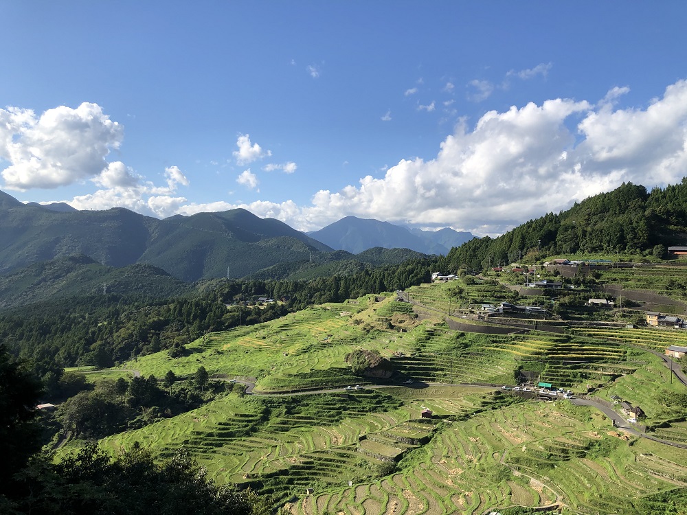 ãéèªæ²èŒåãç¡æ·»å çéãšéŠãèª¿å³æã»ãã? (äžèœèª¿å³æÃ2) æ°å§« åœç£åèŸåäœ¿çš ææ© åèŸå èŸã èª¿å³æãligh0001ã