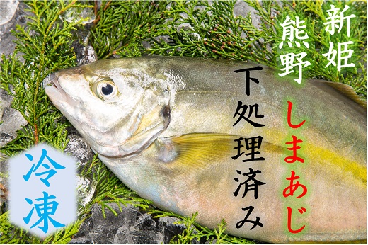 配送日指定可 しまあじ 1匹 下処理済み (冷凍) お刺身 塩焼き 煮つけ 新姫熊野しまあじ【mzsi0004-2】