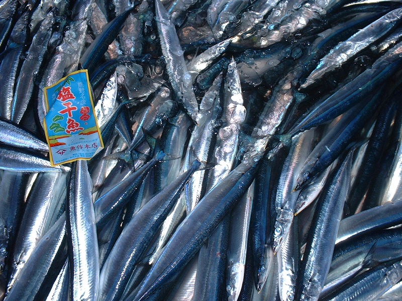 å¹²ç© ãããŸäžžå¹²ã 10æ¬ ãéäœååº3代ç®ã®äžžå¹²ã補æ³ã ã²ãã® ãµã³ã ç§åé å·å æµ·é®® éä»é¡ ç¹ç£å çŒãé é ããã ãã€ãŸã¿ äžéç çéåžãuosk0015Aã