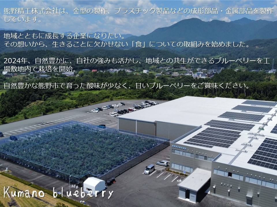 くまのブルーベリー(冷凍) 熊野精工 熊野 果物 フルーツ デザート おやつ スムージー 【kmsi0006】