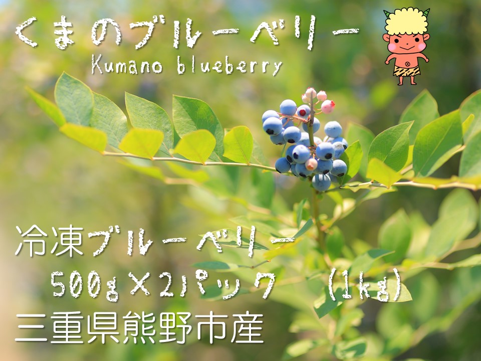 くまのブルーベリー(冷凍) 熊野精工 熊野 果物 フルーツ デザート おやつ スムージー 【kmsi0006】