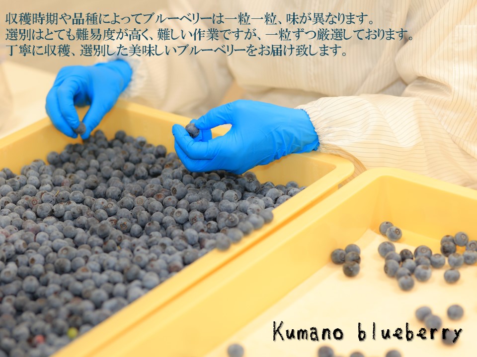 くまのブルーベリー(冷凍) 熊野精工 熊野 果物 フルーツ デザート おやつ スムージー 【kmsi0006】