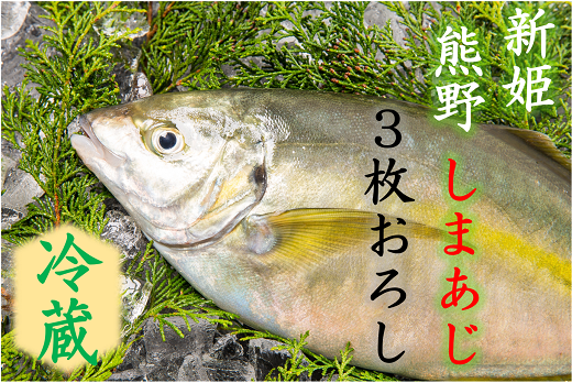 配送日指定可 しまあじ 1匹 3枚おろし アラ付き 朝どれ (冷蔵) お刺身 塩焼き 煮つけ 新姫熊野しまあじ【mzsi0005-1】