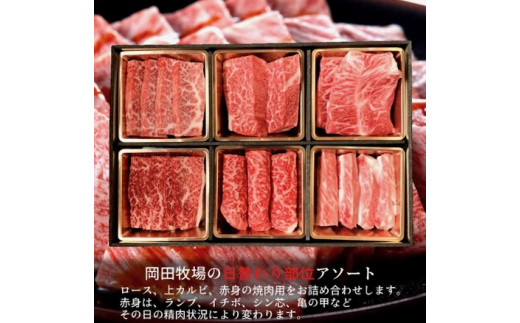 美熊野牛 6種の部位が楽しめる 食べ比べ 焼肉セット 500g ロース カルビ 赤身 牛肉 肉 ブランド牛 和牛 黒毛和牛 国産牛 焼肉 焼き肉 霜降り 赤身 人気 希少 万能 食べ比べセット おすすめ 三重県 熊野市【okad0008】 