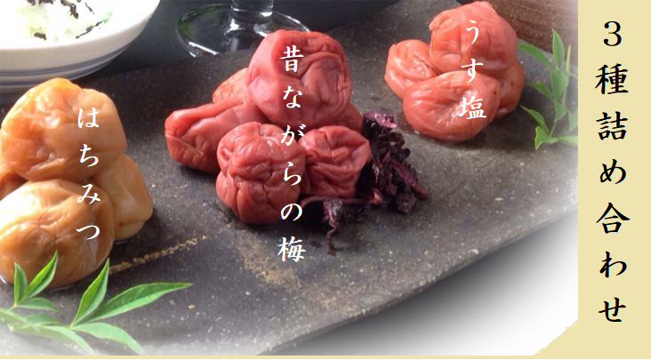 梅干し 熊野乃梅 3種詰合せ（昔・うす塩・はちみつ）【snby0008A】