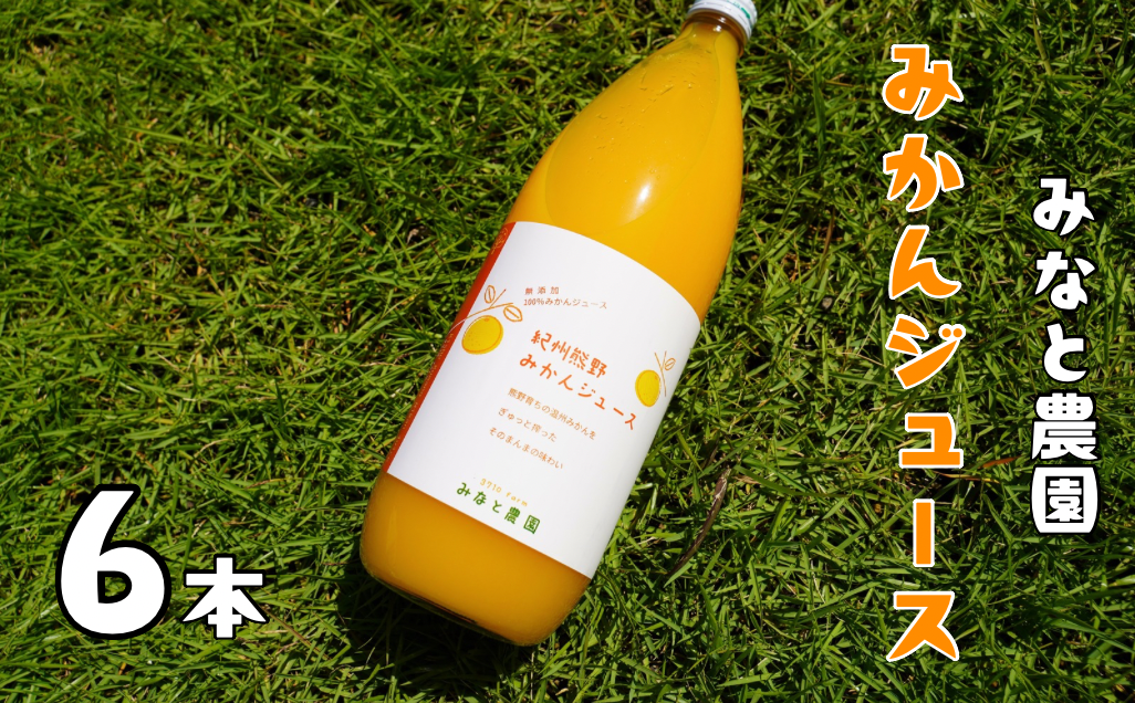 湊農園のみかん搾ったまんま！【紀州熊野みかんジュース】1000ml×6本　段ボール箱【2025年12月以降順次発送予定】【kmkn0089】