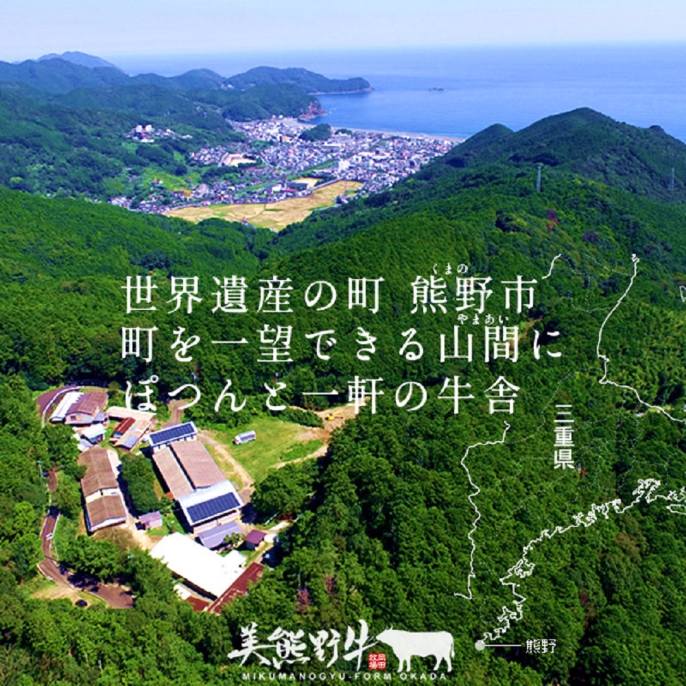 美熊野牛 切り落とし 400g 牛肉 肉 ブランド牛 和牛 黒毛和牛 国産牛 切り落とし 切りおとし 切り落とし牛肉 霜降り 赤身 人気 希少 万能 おすすめ 三重県 熊野市【okad0005】