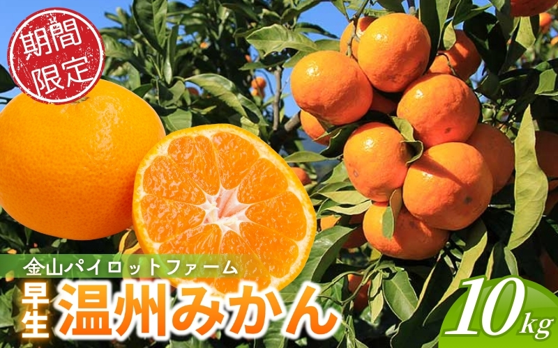 【12月10日受付終了！】<テレビで紹介されました> 金山パイロットファーム 温州みかん 10㎏ (早生) みかん ミカン 温州みかん 早生みかん 早生温州 フルーツ 果物 くだもの 柑橘 産地直送 数量限定 人気 国産 三重県 熊野市【knpr0015】