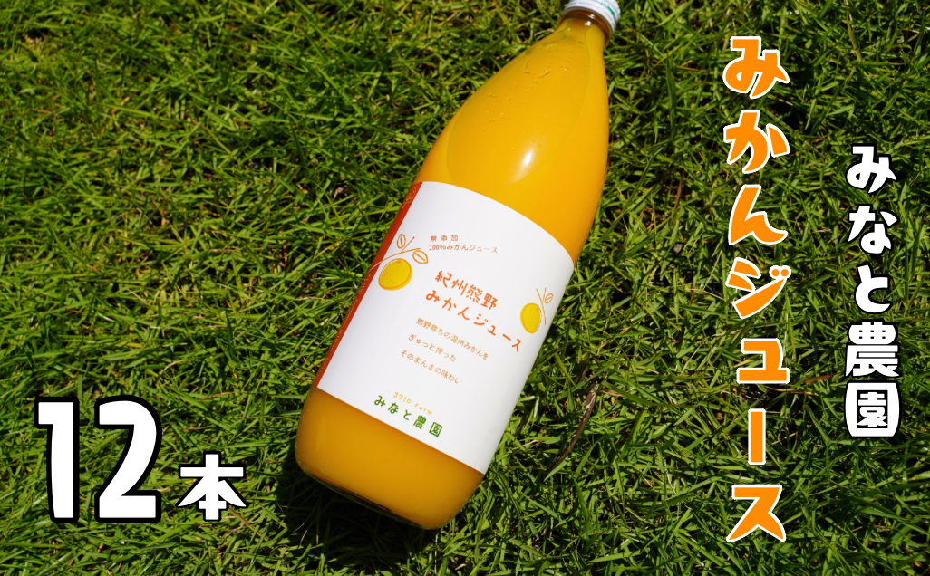 湊農園のみかん搾っただけ！【紀州熊野みかんジュース】1000ml×12本　段ボール箱【2025年12月以降順次発送予定】【kmkn0090】