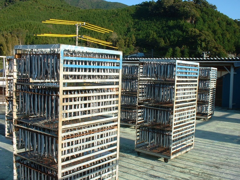 å¹²ç© ãããŸäžžå¹²ã 10æ¬ ãéäœååº3代ç®ã®äžžå¹²ã補æ³ã ã²ãã® ãµã³ã ç§åé å·å æµ·é®® éä»é¡ ç¹ç£å çŒãé é ããã ãã€ãŸã¿ äžéç çéåžãuosk0015Aã