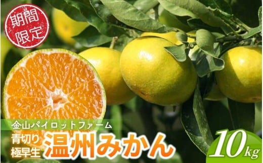【本日受付終了】みかん 金山パイロットファームの 温州みかん 10㎏ 極早生(青切り) みかん ミカン 温州みかん 極早生 極早生みかん フルーツ 果物 くだもの 柑橘 産地直送 数量限定 人気 国産 三重県 熊野市【knpr0013A】