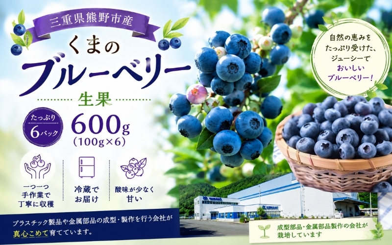 【先行受付】くまのブルーベリー 生果 600g(100g×6) フルーツ 果物 くだもの スムージー ジャム 朝食 デザート 特産品 人気 国産 旬 熊野精工 三重県 熊野市【kmsi0005】