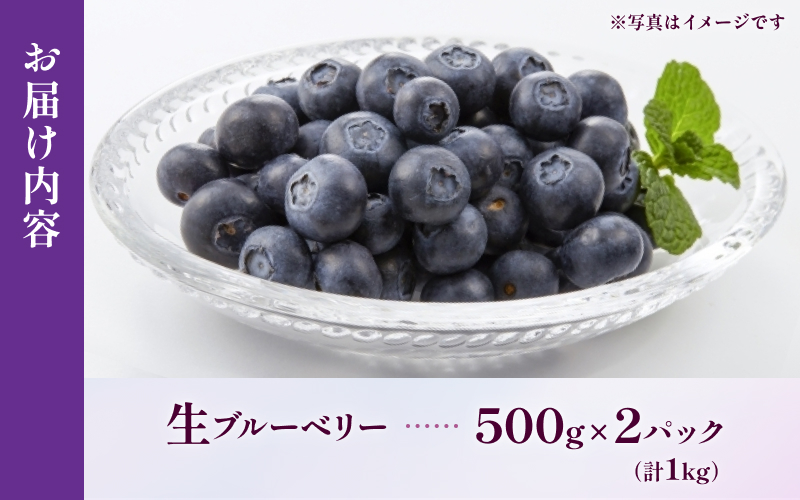 ç¡èŸ²è¬ ç«¥é乿 ãã«ãŒããªãŒ çæ 1kg ã2026幎8æ1æ¥ä»¥éããé æ¬¡çºéã ãã«ãŒã æç© ãã ãã® ã¹ã ãŒãžãŒ ãžã£ã æé£ ãã¶ãŒã ç¹ç£å äººæ° åœç£ æ¬ äžéç çéåžãmnak0001Aã