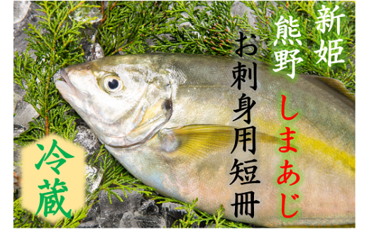 【配送日指定可】 アジ 新姫熊野しまあじ 1匹 お刺身用短冊 アラ付き 朝どれ【冷蔵】あじ シマアジ 鯵 刺身 お刺身 さしみ 真空 海鮮 魚介 鮮魚 寿司 お寿司 しゃぶしゃぶ あじフライ アジフライ 水谷水産 三重県 熊野市【mzsi0006-1】
