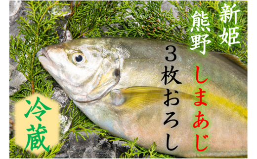 【配送日指定可】 アジ 新姫熊野しまあじ 1匹 3枚おろし アラ付き 朝どれ【冷蔵】あじ シマアジ 鯵 刺身 お刺身 さしみ 真空 海鮮 魚介 鮮魚 寿司 お寿司 しゃぶしゃぶ あじフライ アジフライ 水谷水産 三重県 熊野市【mzsi0005-1】
