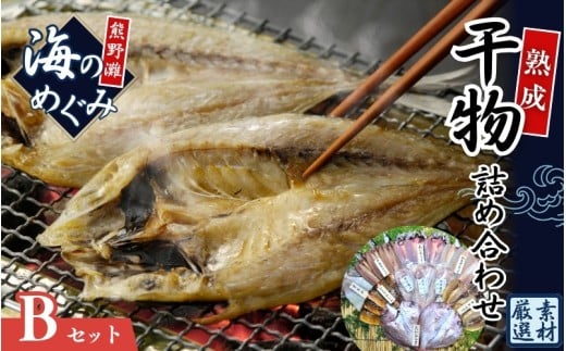干物 ひもの 詰め合わせ 海の恵み Bセット 干物 アジ あじ サンマ さんま 鯛 たい イカ スルメイカ カマス カワハギ 魚 魚介 海鮮 鮮魚 海産物 簡単調理 人気 三重県 熊野市 明治9年創業 畑辰商店【hatt0002】