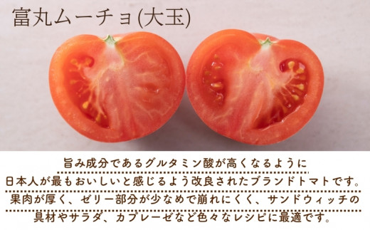 【2027年1月以降配送】熊野薬草園の大玉トマト（1.2kg） トマト 大玉トマト 熊野 予約受付【kmys0005A】