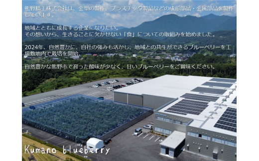 【先行受付】くまのブルーベリー 生果 600g(100g×6) フルーツ 果物 くだもの スムージー ジャム 朝食 デザート 特産品 人気 国産 旬 熊野精工 三重県 熊野市【kmsi0005】